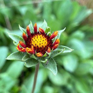 KIDS CLOSET CLEAN OUT! Kid's Clothing Bundles 5/$20